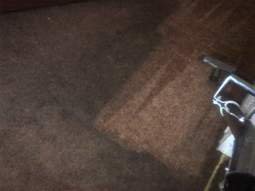 Best Carpet Cleaning in Rochester NY