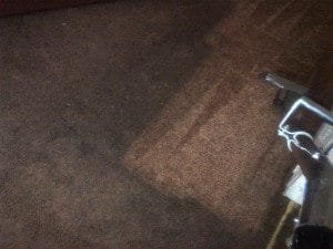 Carpet Cleaning Rochester NY Reviews